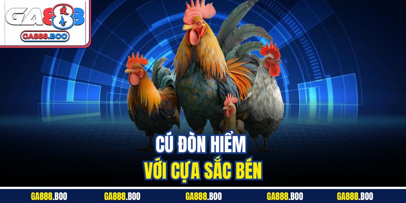Cú đòn hiểm với cựa sắc bén