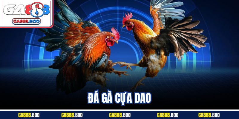 Đặt Cược Đá Gà Cựa Dao Thả Ga, Trả Thưởng Cao Tại Ga88 4 Đặt Cược Đá Gà Cựa Dao Thả Ga, Trả Thưởng Cao Tại Ga88