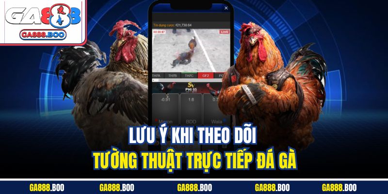 Tường Thuật Trực Tiếp Đá Gà - Tận Hưởng Không Khí Sôi Động 4 Lưu ý khi theo dõi tường thuật trực tiếp đá gà